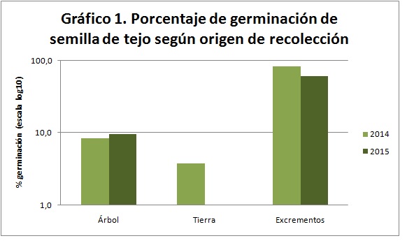 taxus-germinacion-recoleccion