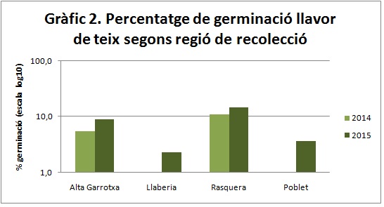 Taxus-germinacio-zona