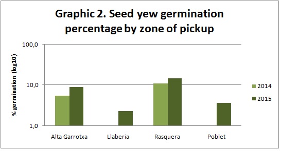 taxus-germination-area