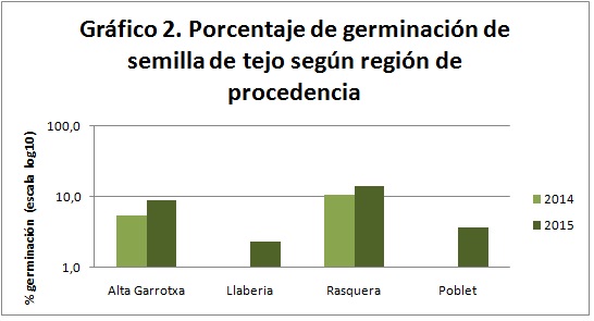 taxus-germinacion-zona