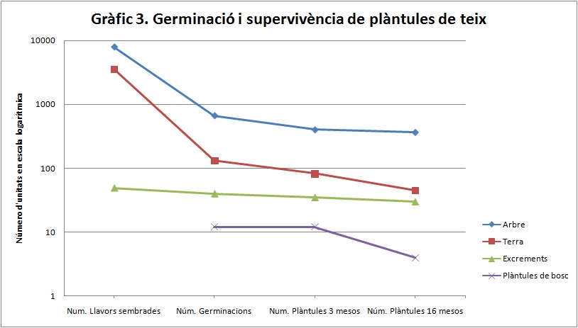 Percentatge-germinacio-teix-supervivencia