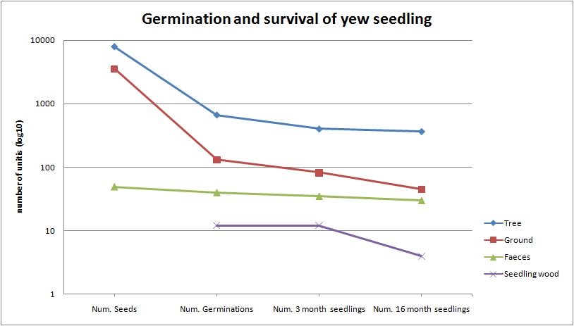 Taxus-germination-survivance